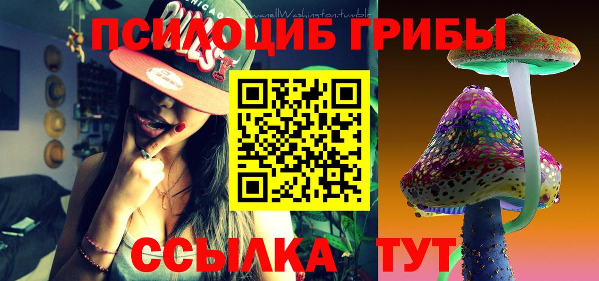 Галлюциногенные грибы Psilocybine cubensis Ирбит