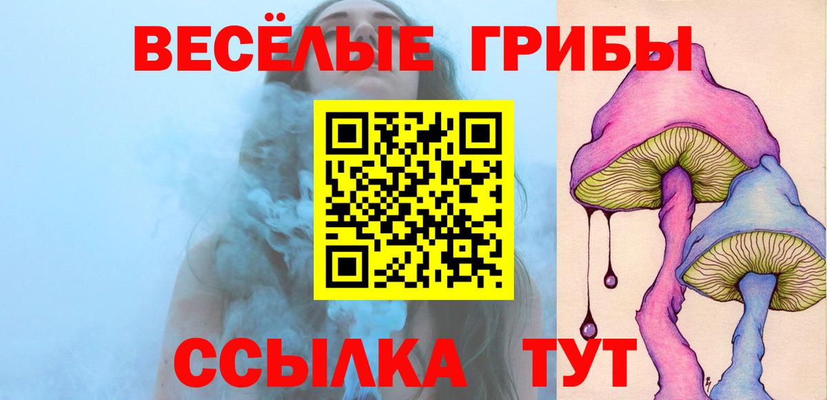 Ирбит  Псилоцибиновые грибы прущие грибы  Вход с VPN 
